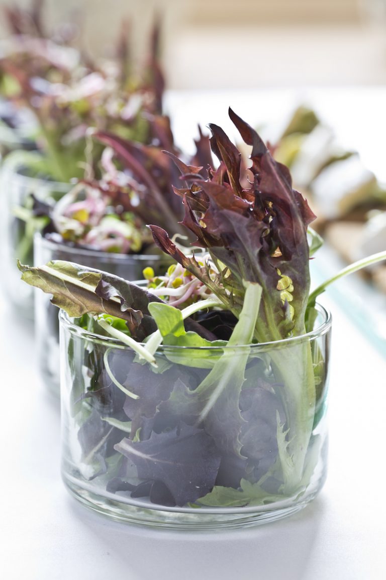 Diet and balsamic vinegar what we need to know Use Balsamic Vinegar