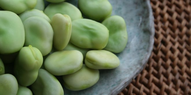 Fava beans salad with Traditional Balsamic Vinegar