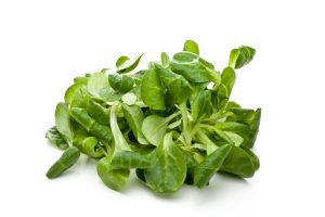 Songino salad