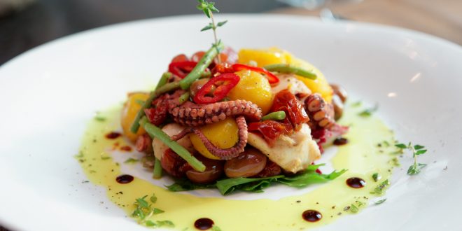 octopus