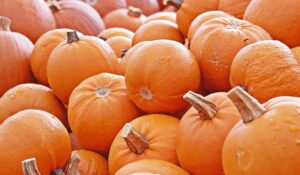 Spinach salad and baked pumpkin